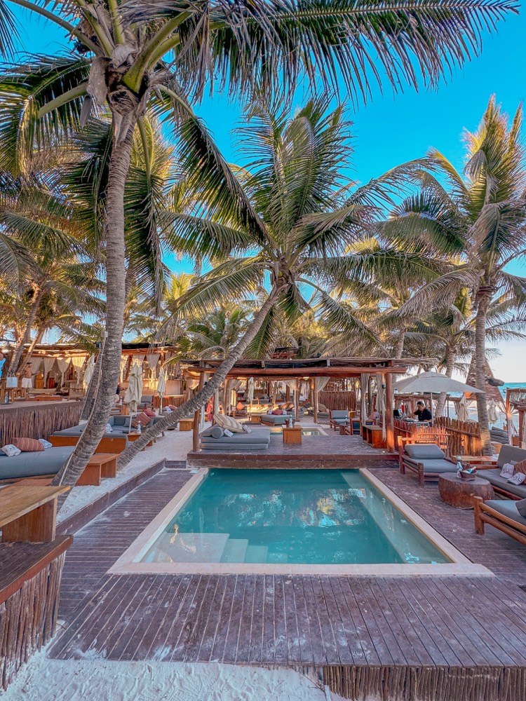 Tropical pool and palm-framed beach club used for influencer campaign content